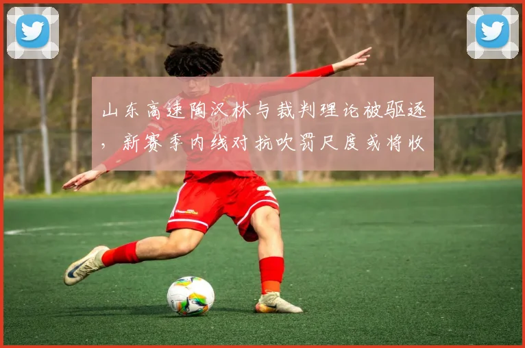 山东高速陶汉林与裁判理论被驱逐,新赛季内线对抗吹罚尺度或将收紧