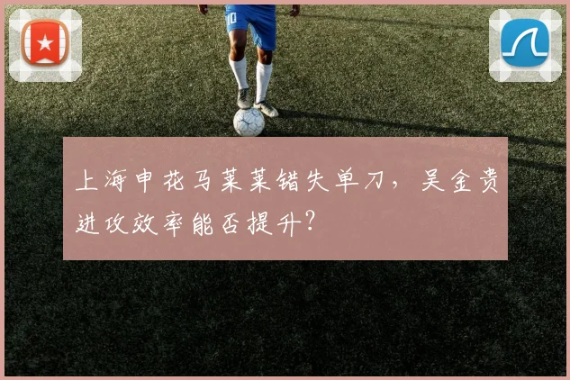 上海申花马莱莱错失单刀，吴金贵进攻效率能否提升？